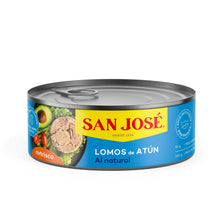 ATUN LOMITOS NATURAL SAN JOSE 48UNX140G