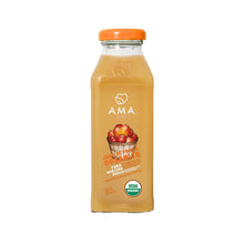 JUGO MANZANA MANGO ORGANICO 300ML