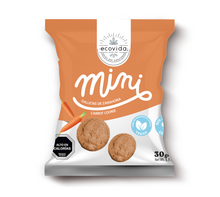 GALLETA MINI ZANAHORIA SIN AZUCAR 30 G
